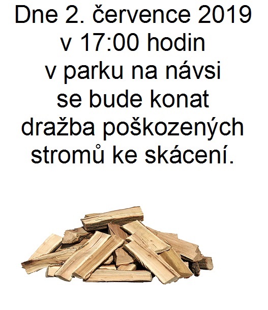 dražba dřeva.jpg